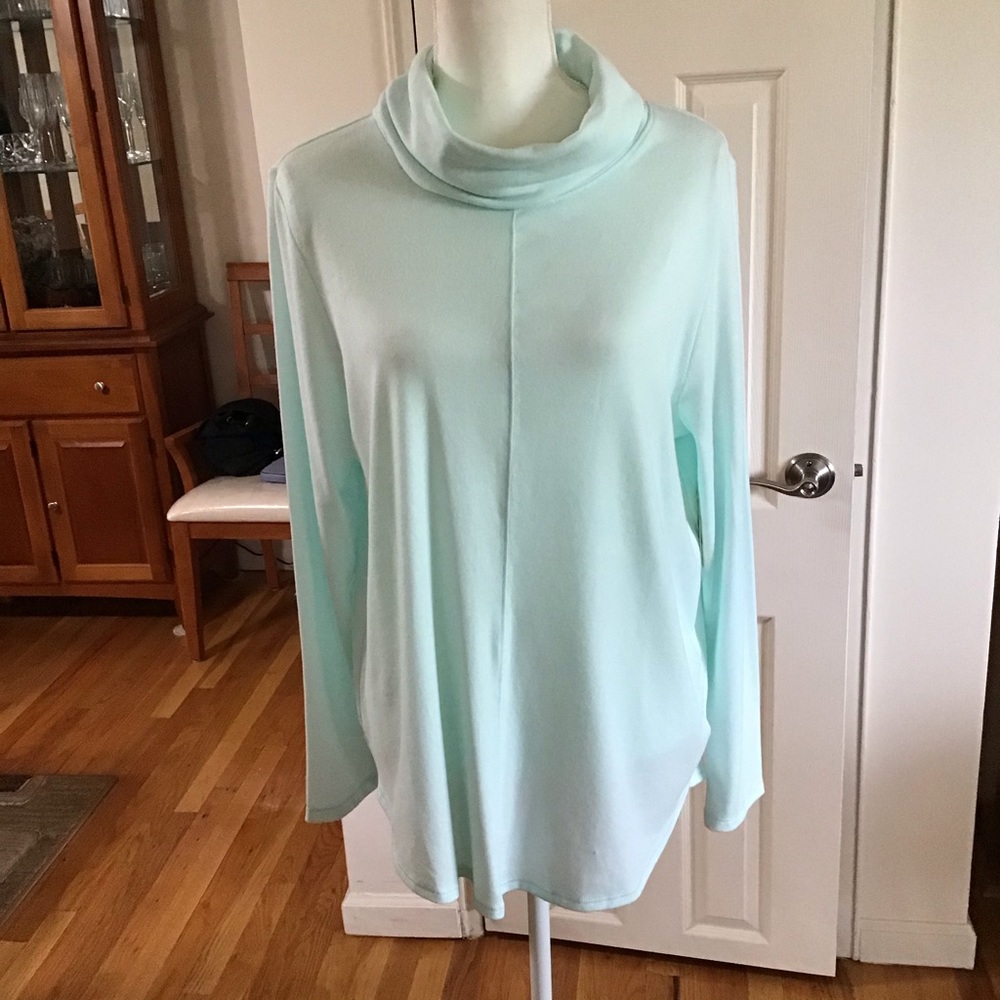 Max Studio Mint Green Turtleneck Sweater